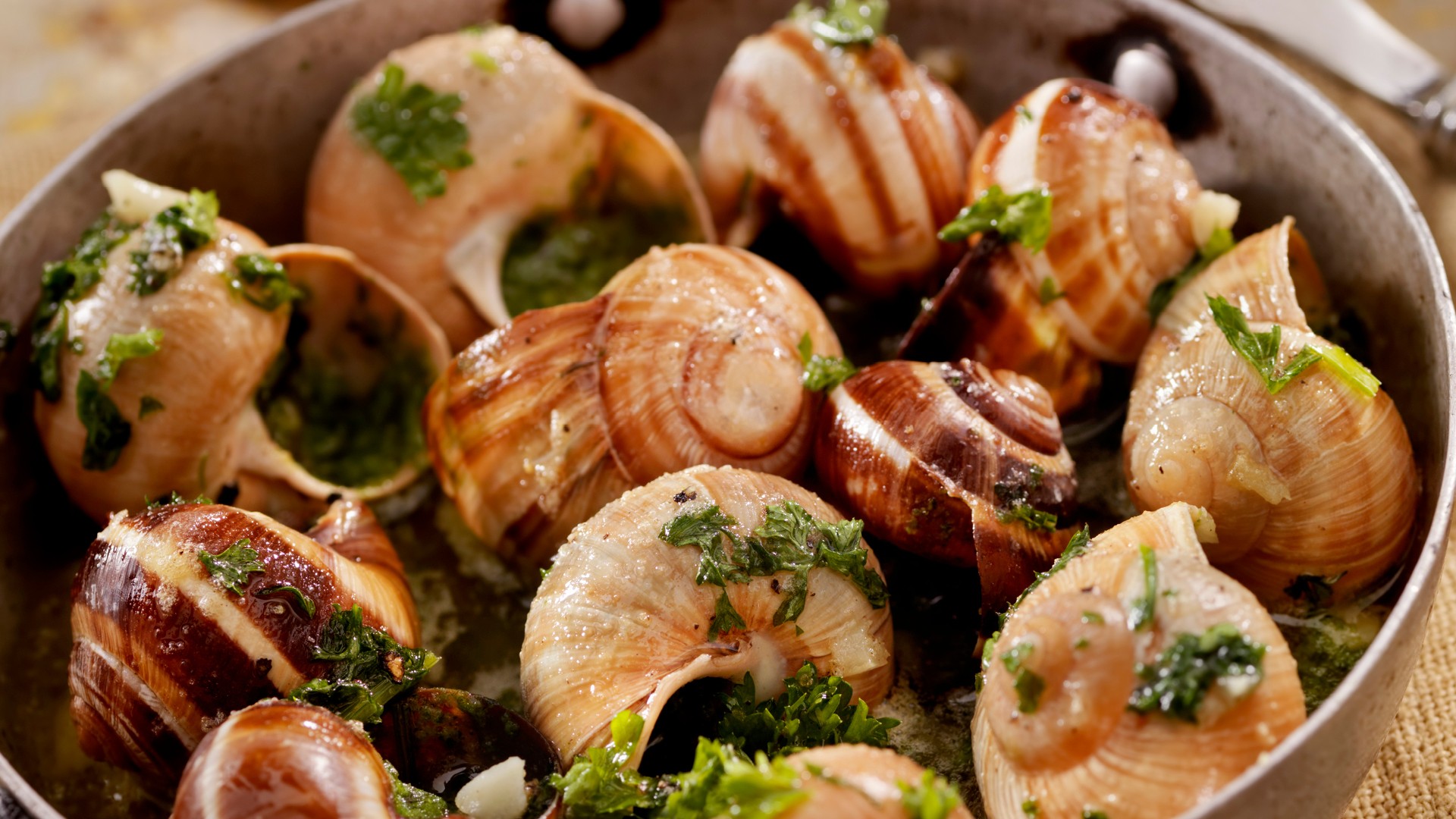 assiette d'escargots cuisinés Stock Photo
